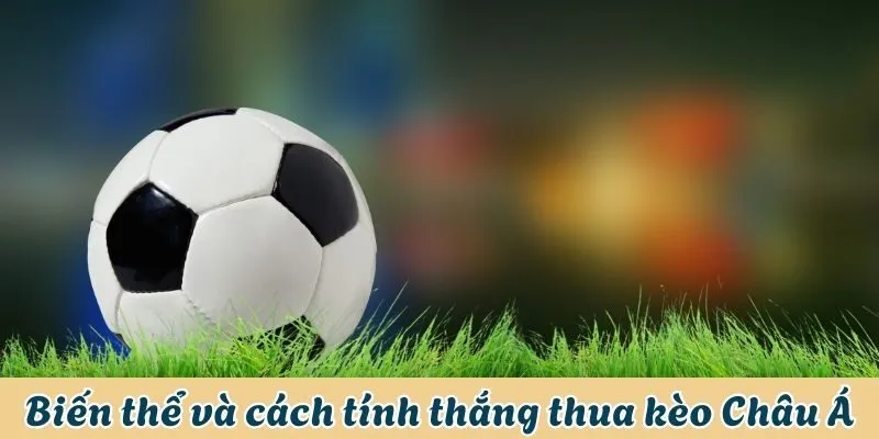 Bật Mí Cách Đặt Cược Kèo Châu Á Chi Tiết Nhất Từ A - Z 2 Biến thể và cách tính tiền thắng thua kèo Châu Á