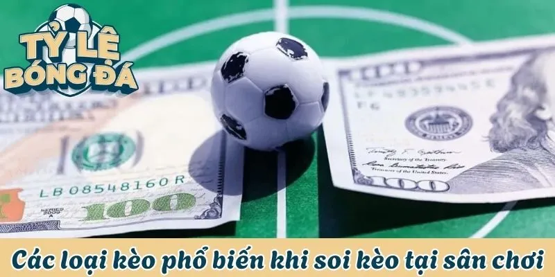 Soi Kèo Nhà Cái May88 - Bí Quyết Thắng Lớn Từ Chuyên Gia 3 Các loại kèo phổ biến khi soi kèo tại sân chơi
