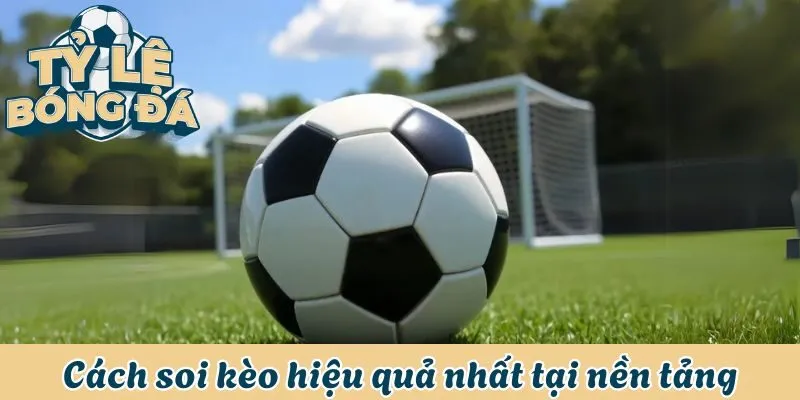 Soi Kèo Nhà Cái Sky88 - Hướng Dẫn Cách Soi Chuẩn Xác Nhất 3 Cách soi kèo hiệu quả nhất tại nền tảng
