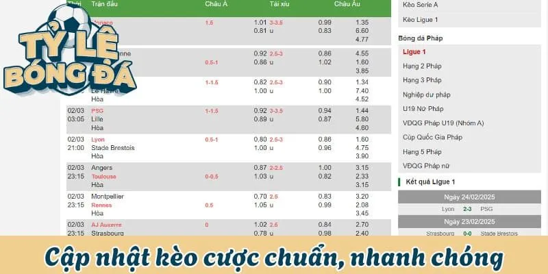 Cập nhật các kèo cược chuẩn, nhanh chóng