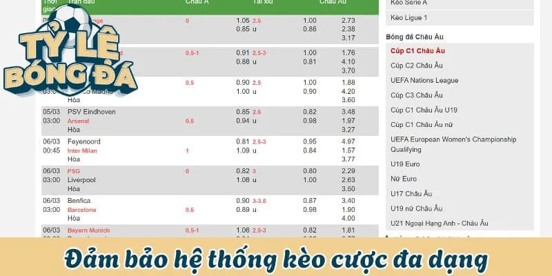 Đảm bảo hệ thống kèo cược đa dạng