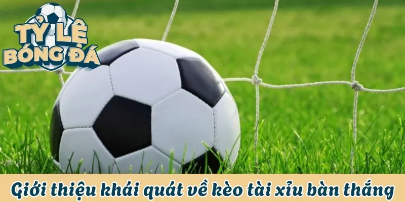 Hướng Dẫn Cách Chơi Kèo Tài Xỉu Bàn Thắng Từ A Đến Z 1 Giới thiệu khái quát nhất về kèo tài xỉu bàn thắng