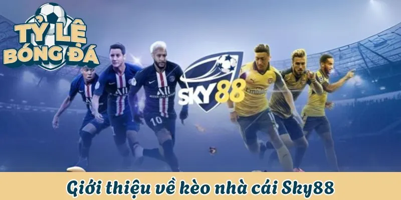Soi Kèo Nhà Cái Sky88 - Hướng Dẫn Cách Soi Chuẩn Xác Nhất 1 Giới thiệu về kèo nhà cái Sky88