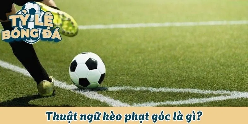 Kèo Phạt Góc Cùng Các Thông Tin Quan Trọng Liên Quan 1 Thuật ngữ kèo phạt góc là gì?