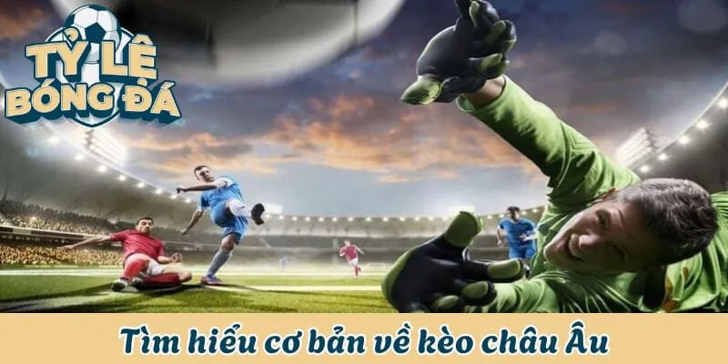 Kèo Châu Âu - Cách Soi Kèo Nhanh, Hiệu Quả Từ Chuyên Gia 1 Tìm hiểu cơ bản về kèo châu Âu