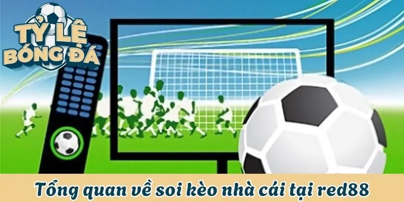 Soi Kèo Nhà Cái Red88 - Dự Đoán Chuẩn 100% Từ Chuyên Gia 1 Tổng quan về soi kèo nhà cái tại red88
